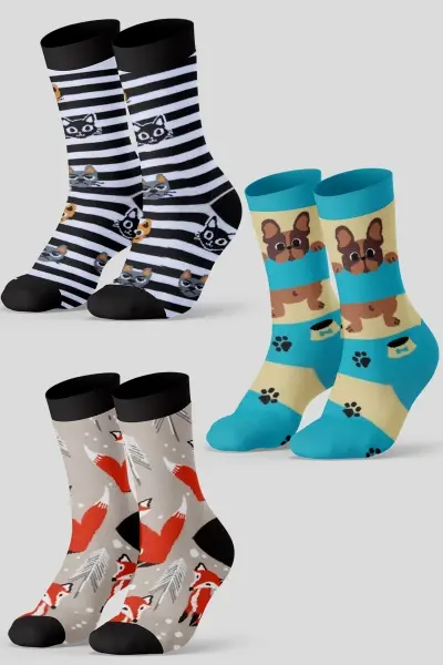 3'lü Animal Lovers Renkli Çorap Set 1