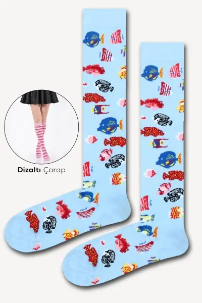 Balıklar Renkli Kadın Dizaltı Çorap