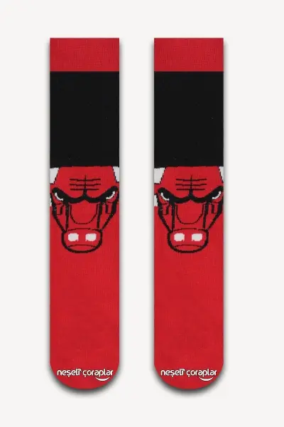 Bulls Renkli Kadın Çorap