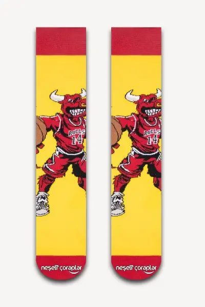 Chicago Bulls Amigo Renkli Kadın Çorap