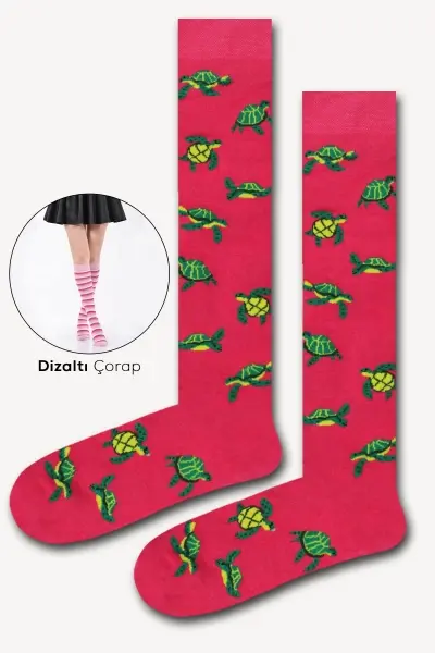 Kaplumbağalar Renkli Kadın Dizaltı Çorap