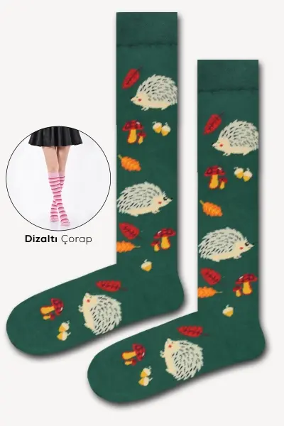 Kirpi Renkli Kadın Dizaltı Çorap