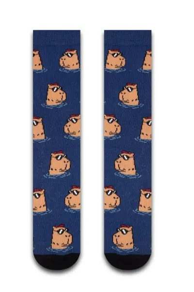 Mini Capybara Renkli Kadın Çorap
