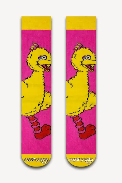 Minik Kuş Renkli Kadın Çorap