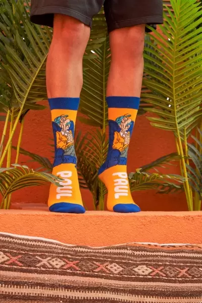 Paul Renkli Erkek Çorap