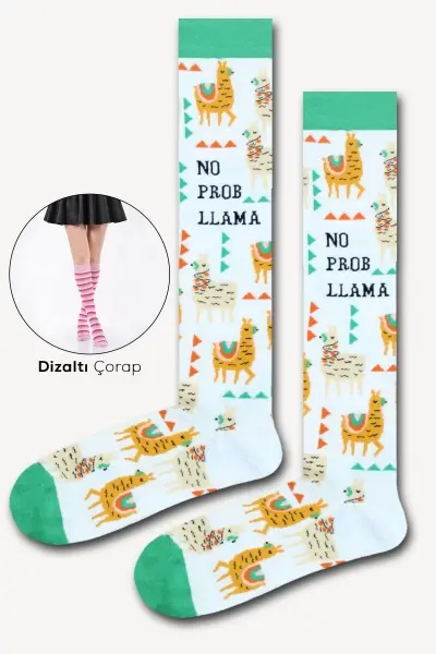 No Prob-llama Renkli Kadın Dizaltı Çorap