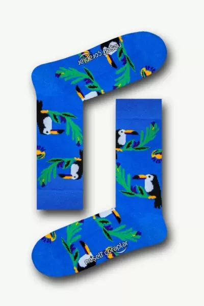 Tukan Kuşu Mavi Desenli Renkli Kadın Çorap